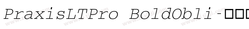 PraxisLTPro BoldObli字体转换